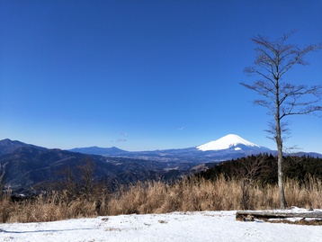 スッキリde高松山 神奈川県山北町 スッキリde高松山 神奈川県山北町