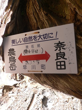 雲海deテン泊 南アルプス白峰南嶺 1日目 雲海deテン泊 南アルプス白峰南嶺 1日目