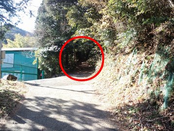 回顧録 静岡県伊豆 父子ハイキング 玄岳 回顧録 静岡県伊豆 父子ハイキング 玄岳