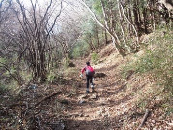 回顧録 静岡県伊豆 父子ハイキング 玄岳 回顧録 静岡県伊豆 父子ハイキング 玄岳