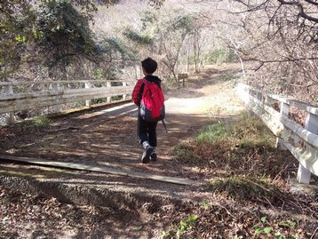 回顧録 静岡県伊豆 父子ハイキング 玄岳 回顧録 静岡県伊豆 父子ハイキング 玄岳