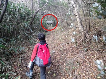 回顧録 静岡県伊豆 父子ハイキング 玄岳 回顧録 静岡県伊豆 父子ハイキング 玄岳