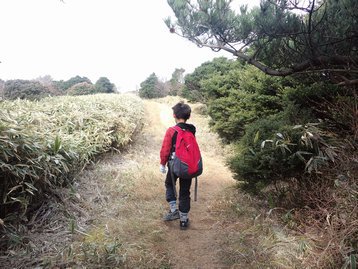 回顧録 静岡県伊豆 父子ハイキング 玄岳 回顧録 静岡県伊豆 父子ハイキング 玄岳