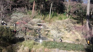 回顧録 静岡県熱海市 十国峠 じゅっこくとうげ 回顧録 静岡県熱海市 十国峠 じゅっこくとうげ