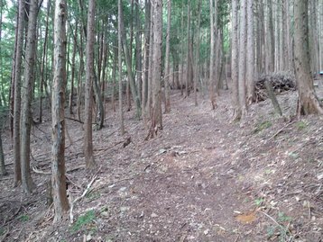 山梨県 お泊りハイキング1 櫛形山 くしがたやま 山梨県 お泊りハイキング1 櫛形山 くしがたやま