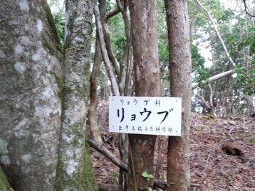 山梨県 お泊りハイキング1 櫛形山 くしがたやま 山梨県 お泊りハイキング1 櫛形山 くしがたやま