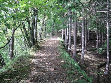 山梨県 お泊りハイキング1 櫛形山 くしがたやま 山梨県 お泊りハイキング1 櫛形山 くしがたやま