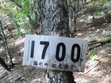 山梨県 お泊りハイキング1 櫛形山 くしがたやま 山梨県 お泊りハイキング1 櫛形山 くしがたやま