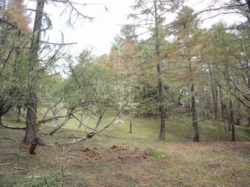 山梨県 お泊りハイキング1 櫛形山 くしがたやま 山梨県 お泊りハイキング1 櫛形山 くしがたやま