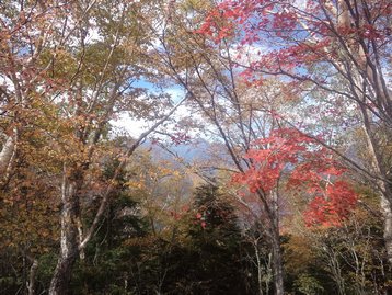 山梨県 お泊りハイキング1 櫛形山 くしがたやま 山梨県 お泊りハイキング1 櫛形山 くしがたやま