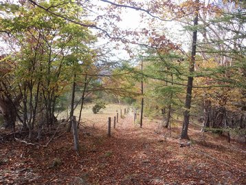 山梨県 お泊りハイキング1 櫛形山 くしがたやま 山梨県 お泊りハイキング1 櫛形山 くしがたやま