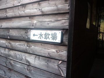 山梨県 お泊りハイキング1 櫛形山 くしがたやま 山梨県 お泊りハイキング1 櫛形山 くしがたやま