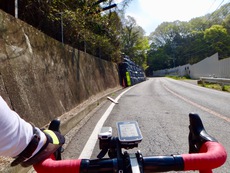 如何なる時も 交通法規遵守は自転車乗りの常識です! 如何なる時も 交通法規遵守は自転車乗りの常識です!