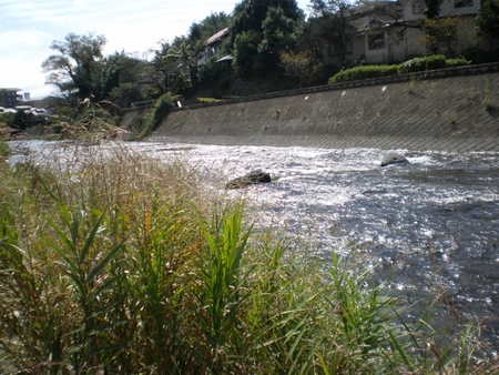 碓氷川