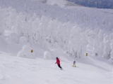 蔵王樹氷とスキー