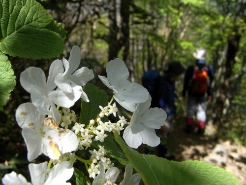 磐梯山-登山①