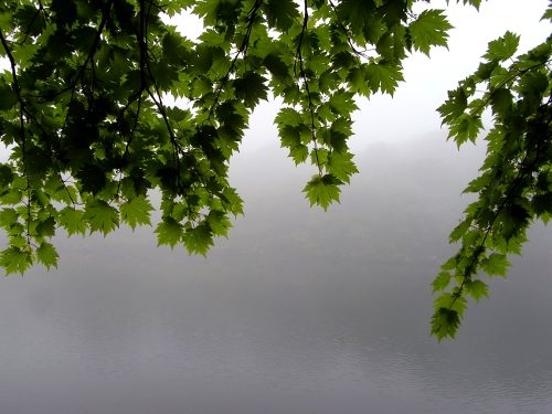 焼石岳-登山①