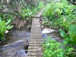 焼石岳-登山①