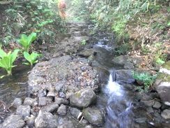 焼石岳-登山①