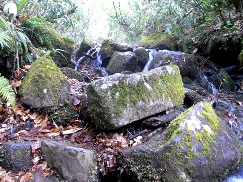 焼石岳-登山①