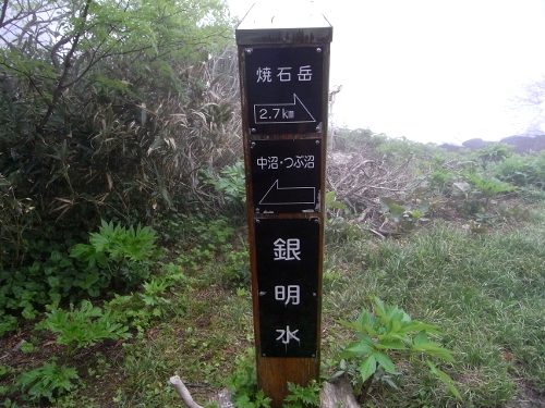 焼石岳-登山①