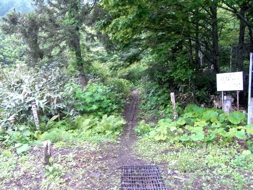 焼石岳-登山①