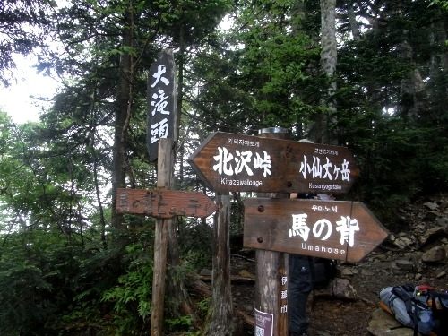 仙丈ケ岳-遠征登山③