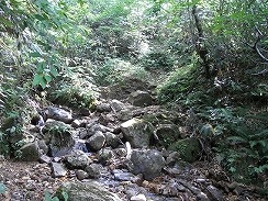 乳頭山-登山