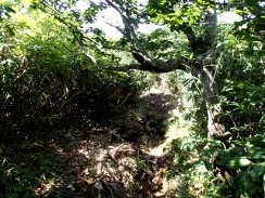栗駒山(須川岳)~秣岳-登山②
