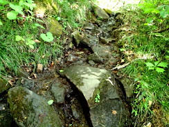 焼石岳-登山(中沼)①