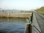 初日の出 ついでの 初投げ