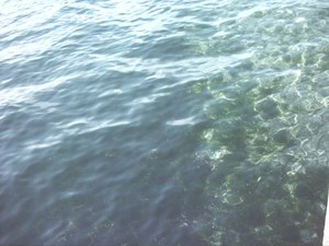 アサリ浜