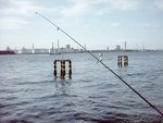 アサリ浜