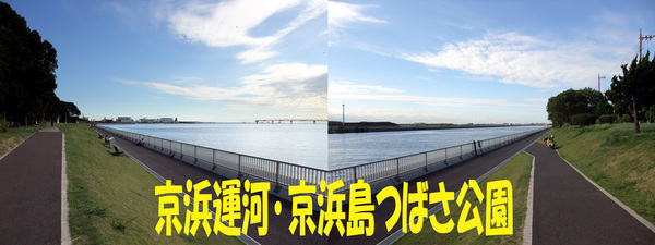 週末鯊釣査