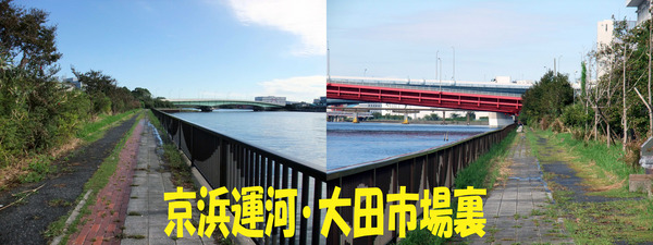 週末鯊釣査