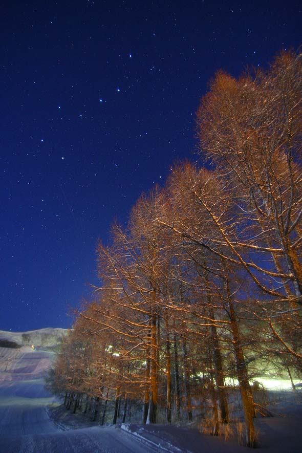 ハチ高原へ行ってきました。星見編