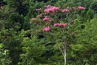 30年前の寝袋出動