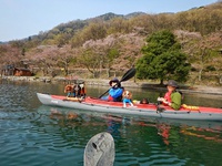 琵琶湖お花見カヌー