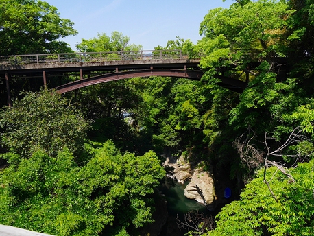 ほったらかしキャンプ場 ほったらかしキャンプ場
