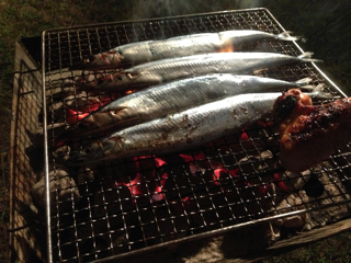 フェスキャン HAMAYOU MUSIC FESTIVAL 2013