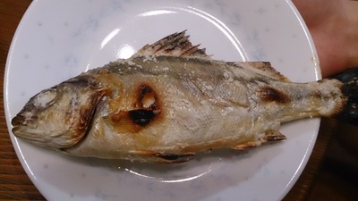 串本五目釣り