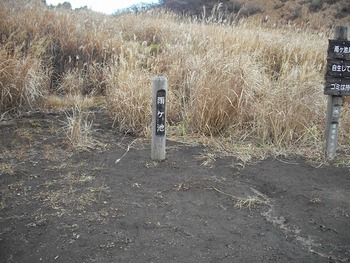 ぉ山でキャンプ♪