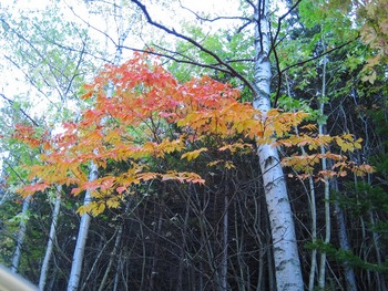 北海道ツーリング09 3日目