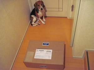 BASEGEAR.com と八