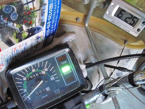 フェリーの乗ったどぉ~(四国ツーリング)-前編-