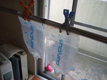 Platypus Platy Water Bottle