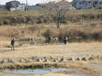 このまま春でしょうか?