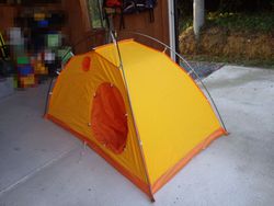ポールの具合は如何かな