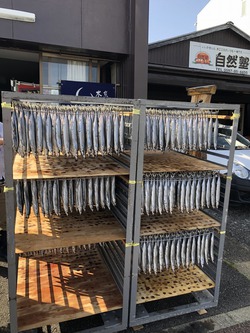omeda氏の休日 omeda氏の休日