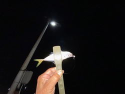 風が吹くまでⅥ 風が吹くまでⅥ